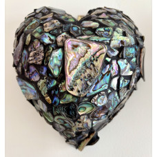 Paua Shell